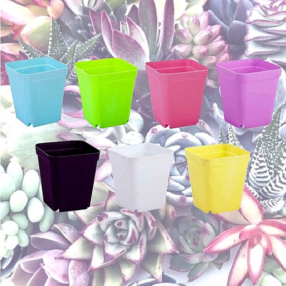 ★NEW★ 7 PACK Mini Planters Succulent Cactus Flower - Picture 4 of 16